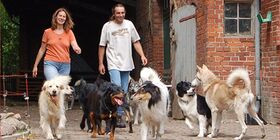 Hunde in der Tierpension