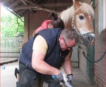 Amira-beim-Schmied Amira-beim-Schmied